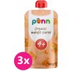 3x SALVEST Ponn BIO Mango 100 % (100 g) VP-F166898 3x SALVEST Ponn BIO Mango 100 % (100 g) VP-F166898