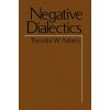Negative Dialectics Negative Dialectics