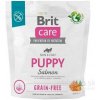 Brit Care Grain-free Puppy Salmon 1 kg Brit Care Grain-free Puppy Salmon 1 kg