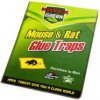 Green Killer – lepidlová pasca na myš a potkany Green Killer – lepidlová pasca na myš a potkany