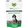 VetriScience Derma Strenght podp.kůže psi 70 ks 140 g