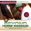 Beyond Horse Massage Wall Chart - Easy-To-View Wall Charts Beyond Horse Massage Wall Chart - Easy-To-View Wall Charts