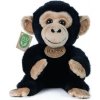 Eco-Fiendly Rappa šimpanz/opice sedící 18 cm Eco-Fiendly Rappa šimpanz/opice sedící 18 cm