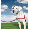 PetSafe Easy Walk Harness PetSafe Easy Walk Harness