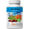 MycoMedica MycoSleep sypká směs pro přípravu nápoje 90g MycoMedica MycoSleep sypká směs pro přípravu nápoje 90g