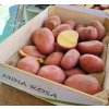 Sadbové zemiaky ANNA ROSA 2,5 kg Sadbové zemiaky ANNA ROSA 2,5 kg