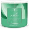 Goose Creek AROMATHERAPY EUCALYPTUS & MINT 410g