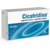 Cicatridine Vaginálne čapíky 10 ks Cicatridine Vaginálne čapíky 10 ks