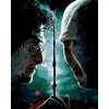 Zuty – Maľovanie podľa čísel – Harry Potter tvárou v tvár Voldemortovi, 40 × 50 cm, plátno + rám 8596530242253 Zuty – Maľovanie podľa čísel – Harry Potter tvárou v tvár Voldemortovi, 40 × 50 cm, plátno + rám 8596530242253