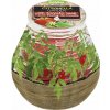 Sviečka bolsius Teracce Citronella, repelentná, 94/91 mm, paradajka Sviečka bolsius Teracce Citronella, repelentná, 94/91 mm, paradajka