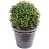 BUXUS GULE NEW UV RESISTANT luxusný umelý ker, 45cm BUXUS GULE NEW UV RESISTANT luxusný umelý ker, 45cm