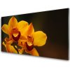 Nástenný panel Kvety rastlina 100x50 cm Nástenný panel Kvety rastlina 100x50 cm