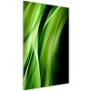 Vertikálny foto obraz akrylové sklo Zelenej vlny pozadie 50x100 cm Vertikálny foto obraz akrylové sklo Zelenej vlny pozadie 50x100 cm