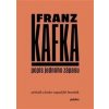Popis jednoho zápasu - Franz Kafka Popis jednoho zápasu - Franz Kafka