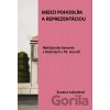 Medzi pohodlím a reprezentáciou. Meštianske bývanie v Košiciach v 19. storočí - Zuzana Labudová Medzi pohodlím a reprezentáciou. Meštianske bývanie v Košiciach v 19. storočí - Zuzana Labudová