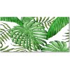 Foto-obraz fotografie na skle tropické lístia 100x50 cm Foto-obraz fotografie na skle tropické lístia 100x50 cm