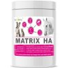 Dromy Matrix HA – podpora kĺbov a pohybového aparátu Dromy Matrix HA – podpora kĺbov a pohybového aparátu