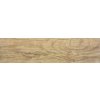 Dlažba Rako Faro svetlo hnedá 15x60 cm mat DARSU717.1 0.900 m2 Dlažba Rako Faro svetlo hnedá 15x60 cm mat DARSU717.1 0.900 m2