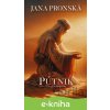 E-kniha Pútnik - Jana Pronská E-kniha Pútnik - Jana Pronská