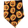 Pudlíček Halloween šatka tekvice
