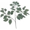 Dekorácia vetvička Breza 58cm zelená umelá Dekorácia vetvička Breza 58cm zelená umelá