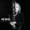 CD Joe Walsh: Analog Man CD Joe Walsh: Analog Man
