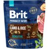 BRIT Premium by Nature Sensitive Lamb&Rice - suché krmivo pro psy - 1 kg BRIT Premium by Nature Sensitive Lamb&Rice - suché krmivo pro psy - 1 kg