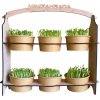 Minizáhradka pre 6 microgreens setov Plus nůžky s logem inWeek Minizáhradka pre 6 microgreens setov Plus nůžky s logem inWeek