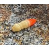 FISHUP Pupa 1,2 FISHUP Pupa 1,2