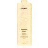 amika Velveteen dream uhladzujúci kondicionér odolný vzdušnej vlhkosti 1000 ml amika Velveteen dream uhladzujúci kondicionér odolný vzdušnej vlhkosti 1000 ml