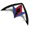 Günther Sportovní řiditelný drak FLE x US 150 G x 150 x 65 cm (1041) Günther Sportovní řiditelný drak FLE x US 150 G x 150 x 65 cm (1041)
