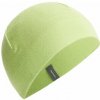 Icebreaker Merino 260 Ridge beanie zelená