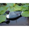 Plastová vodná dekorácia - Káčer Pintail Plastová vodná dekorácia - Káčer Pintail