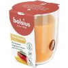 BOLSIUS Mango 313 g BOLSIUS Mango 313 g