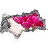 Samolepiaca diera na stenu Ružové tulipány 95x73 cm Samolepiaca diera na stenu Ružové tulipány 95x73 cm