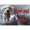 Pozorpes.sk, výstražná tabuľka (Maltézsky psík) Pozorpes.sk, výstražná tabuľka (Maltézsky psík)