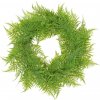 VENIEC PAPRAĎ ZELENÝ 40CM VENIEC PAPRAĎ ZELENÝ 40CM