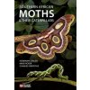 Southern African Moths and Their Caterpillars (Mike Picker,Charles Griffiths)(Brožovaná) Southern African Moths and Their Caterpillars (Mike Picker,Charles Griffiths)(Brožovaná)