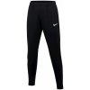 Nike Dri-FIT Academy Pro W DH9273 014 pants
