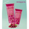 Dermacol Aroma Moment Wild Raspberry krém na ruky 100 ml + Wild Raspberry opojný sprchový gél 250 ml kozmetická sada Dermacol Aroma Moment Wild Raspberry krém na ruky 100 ml + Wild Raspberry opojný sprchový gél 250 ml kozmetická sada