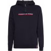 Tommy Hilfiger Graphic 1/4 Zip desert sky
