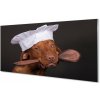 Sklenený obraz dog chef 100x50 cm Sklenený obraz dog chef 100x50 cm
