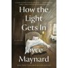 How the Light Gets in How the Light Gets in