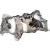 Diera 3D fototapeta nálepka Pes a mačka 95x73 cm Diera 3D fototapeta nálepka Pes a mačka 95x73 cm