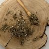Emerosa Slamienka talianska - kvet - Helichrysum italicum - Flos helichrysi 1000 g Emerosa Slamienka talianska - kvet - Helichrysum italicum - Flos helichrysi 1000 g