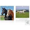 Horses 2026 - nástěnný k… Horses 2026 - nástěnný k…