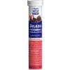 Výživový doplnok VITAR MAXI VITA ŽELEZO+VITAMÍN C 20 EFF. TBL. Výživový doplnok VITAR MAXI VITA ŽELEZO+VITAMÍN C 20 EFF. TBL.