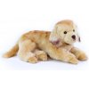 Rappa Plyšový pes zlatý retriever ležiace 32 cm ECO-FRIENDLY Rappa Plyšový pes zlatý retriever ležiace 32 cm ECO-FRIENDLY