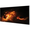 Nástenný panel ohnivý drak 100x50 cm Nástenný panel ohnivý drak 100x50 cm