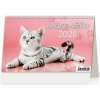 Stolní kalendář Kočky 2026 Stolní kalendář Kočky 2026
